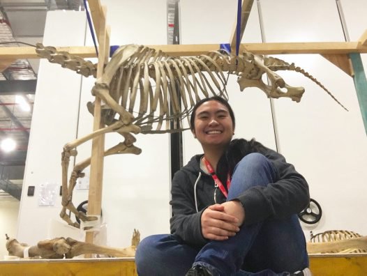 Kyra- Work Experience at the Australian Museum