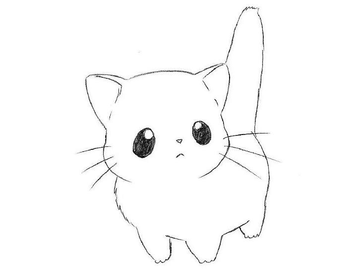 Chibi Cat Drawing for Kids