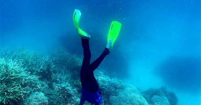 World in grip of new major coral bleaching event, reefs at risk - Breitbart image.