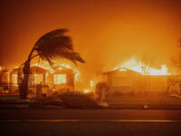 PHOTO — Report: 100 L.A. Fire Trucks Wait for Repair as Deadly Blazes Burn City