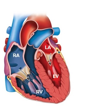 Solved Read the overview and complete the interactivities | Chegg.com