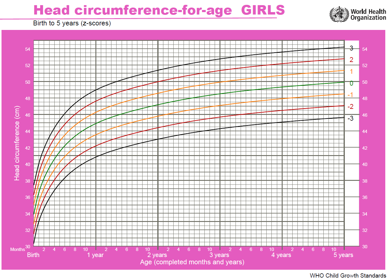 Solved There are six girls in the family who are born every | Chegg.com