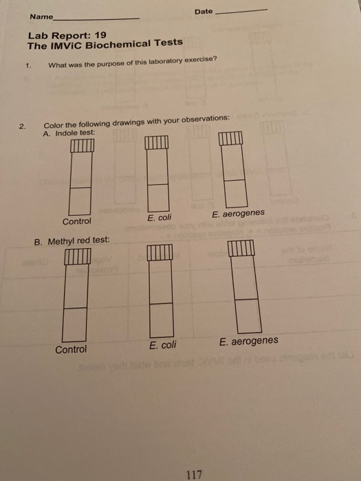 Biochemical Tests Lab Report at Angela Bilbo blog