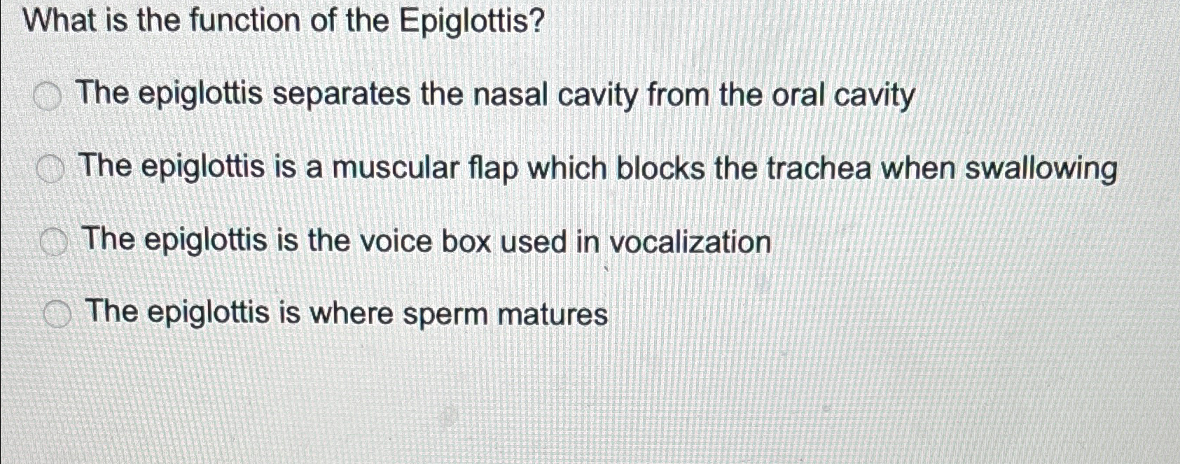 Solved What is the function of the Epiglottis?The epiglottis | Chegg.com