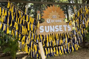 Corona Summer Sunset Tour at Nirox Sculpture park.