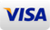 Visa Icon