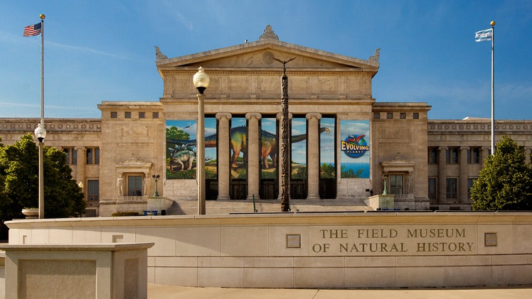 14 Best Museums in Chicago