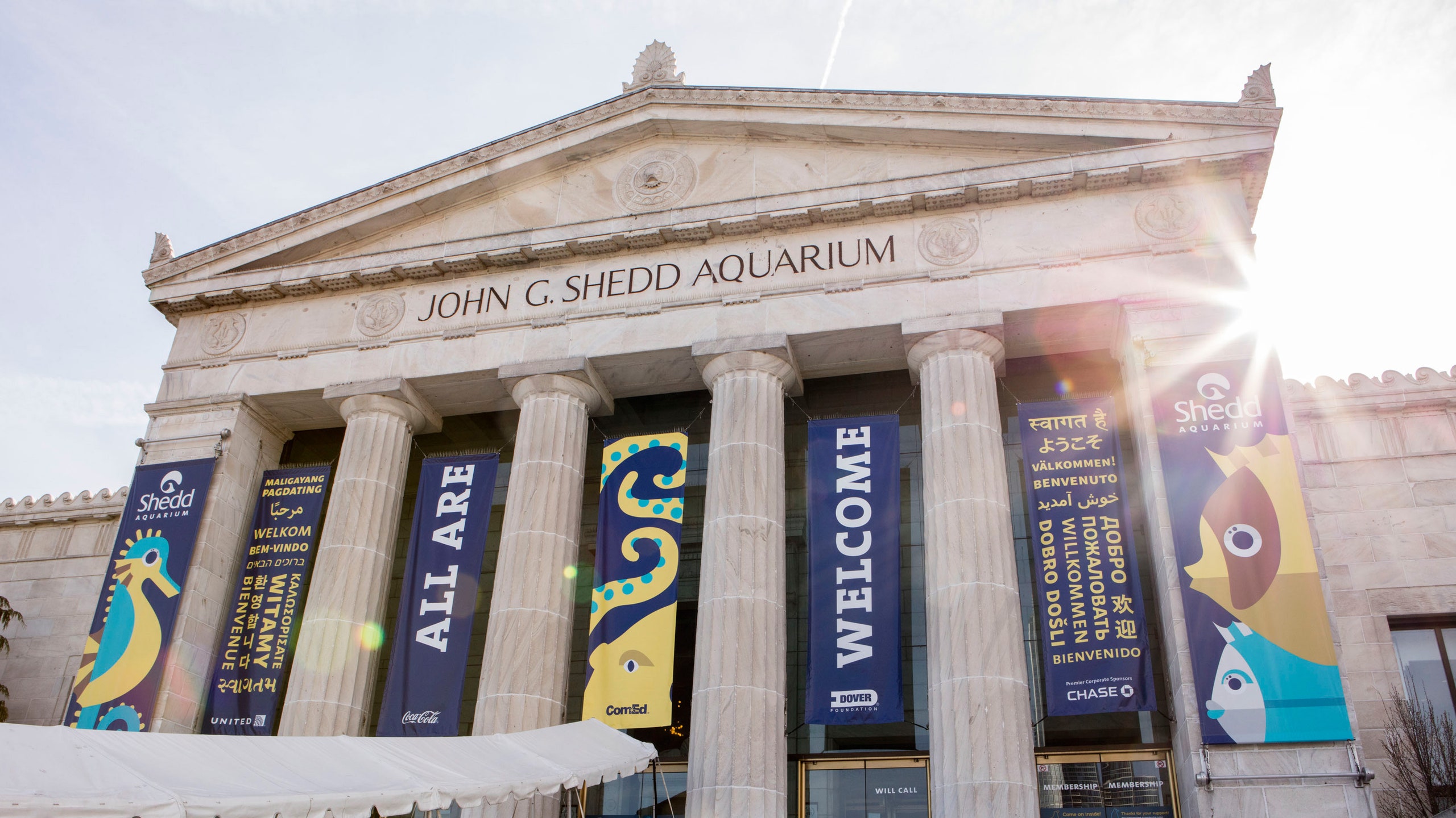 Shedd Aquarium Exterior Chicago