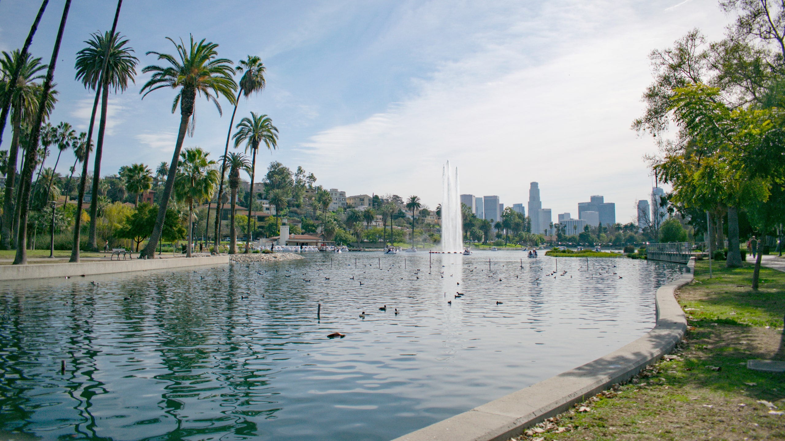 Echo Park Lake, Los Angeles