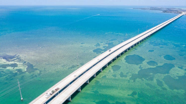 3 Best Day Trips from Key West: Islamorada, Dry Tortugas, & Key Largo