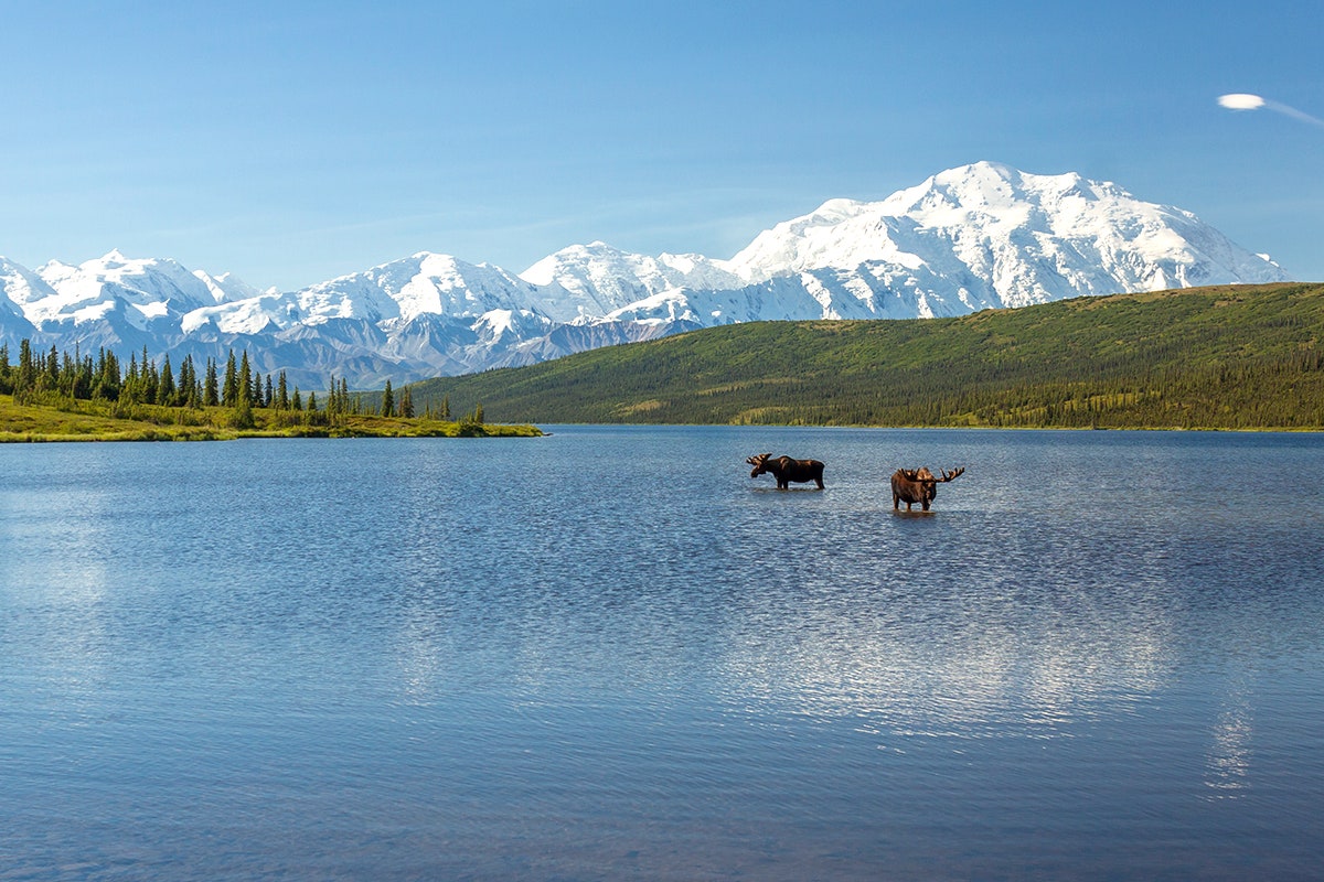 Image may contain Nature Outdoors Water Mountain Mountain Range Lake Ice Animal Dog Mammal Pet and Canine