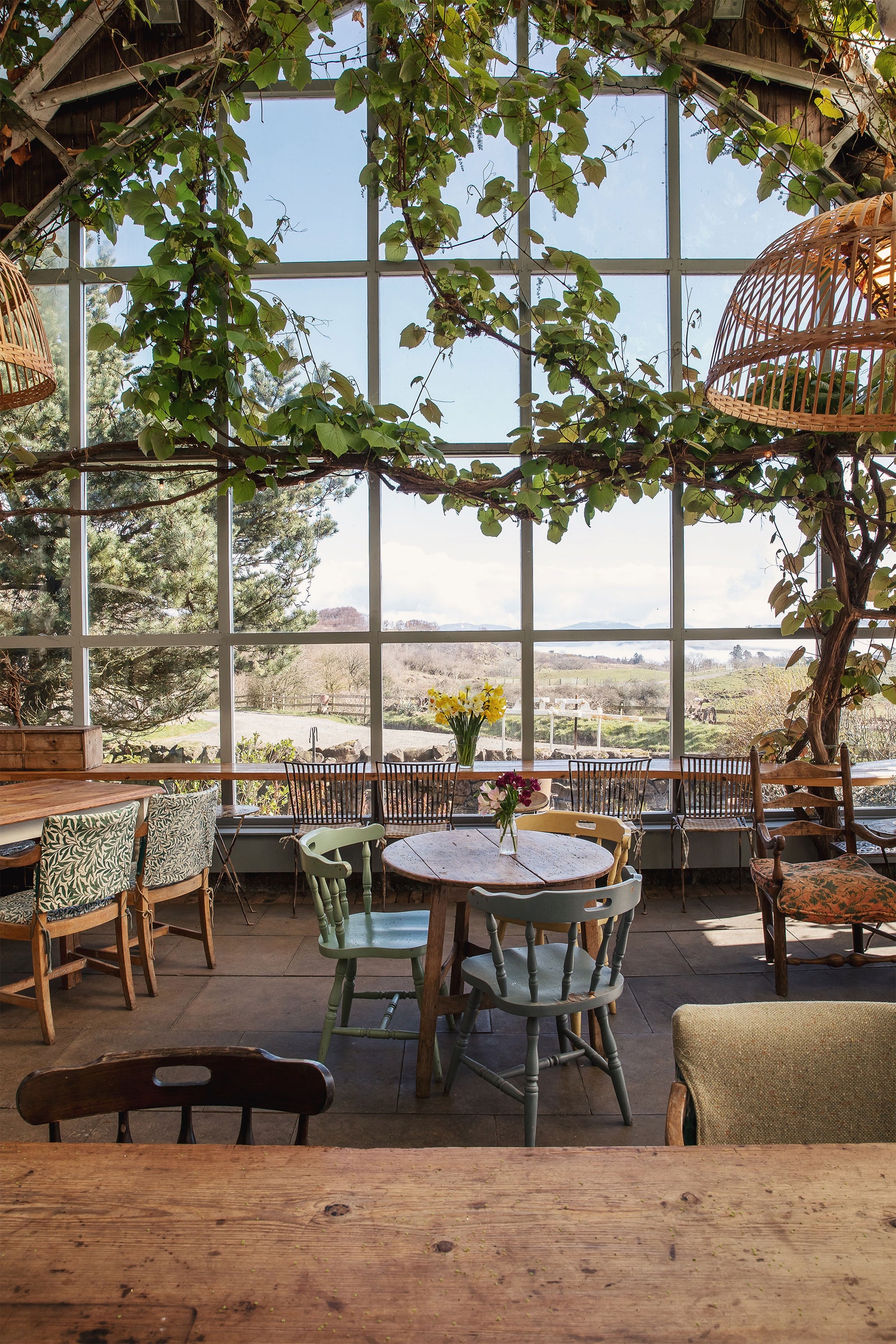 The Glass Barn at Isle of Mull Cheese Isle of Mull