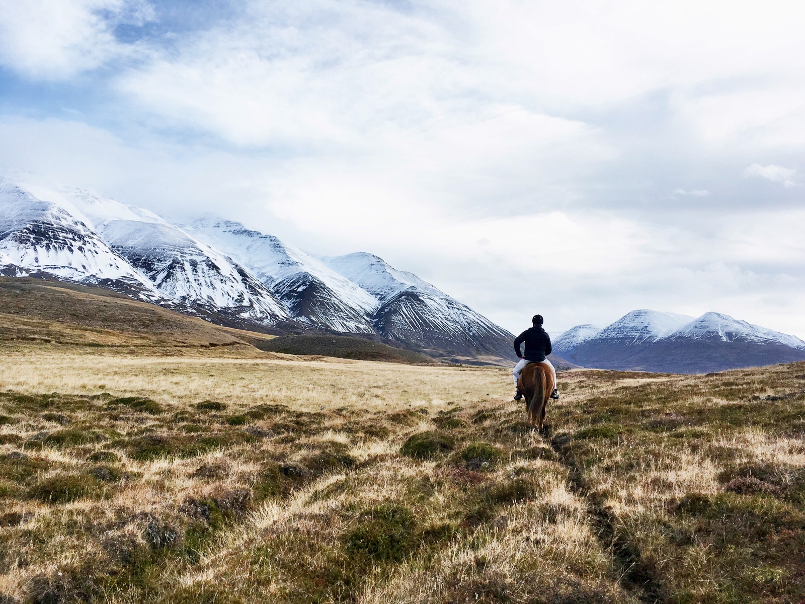 A tourist rides an Icelandic horse through the hills of northern Iceland overlooking the fjord Eyjafjodur.