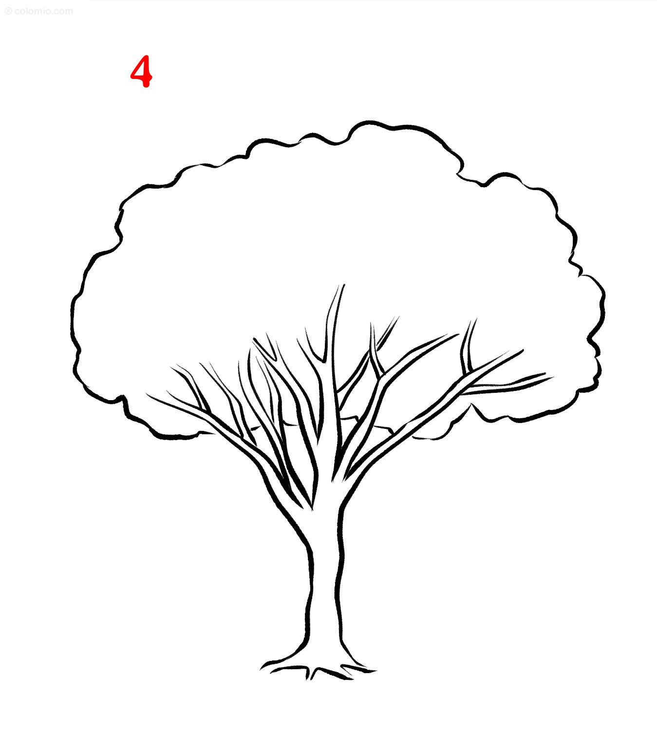 How To Draw A Tree For Beginners