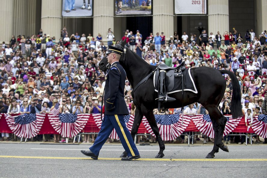 A soldier leading a riderless horse.