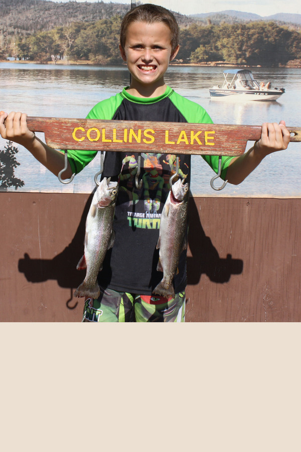 Collins Lake Fish Report Collins Lake Collins Lake Fishing Report