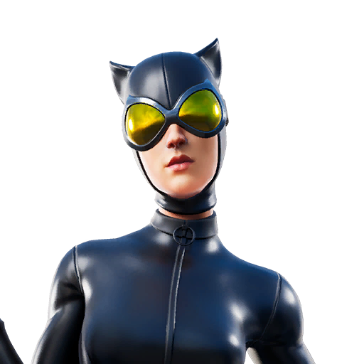 Catwoman Comic Book Outfit