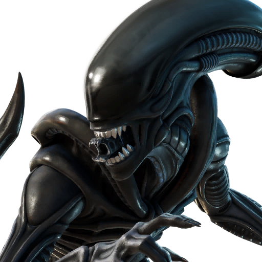 Xenomorph