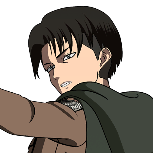 Captain Levi