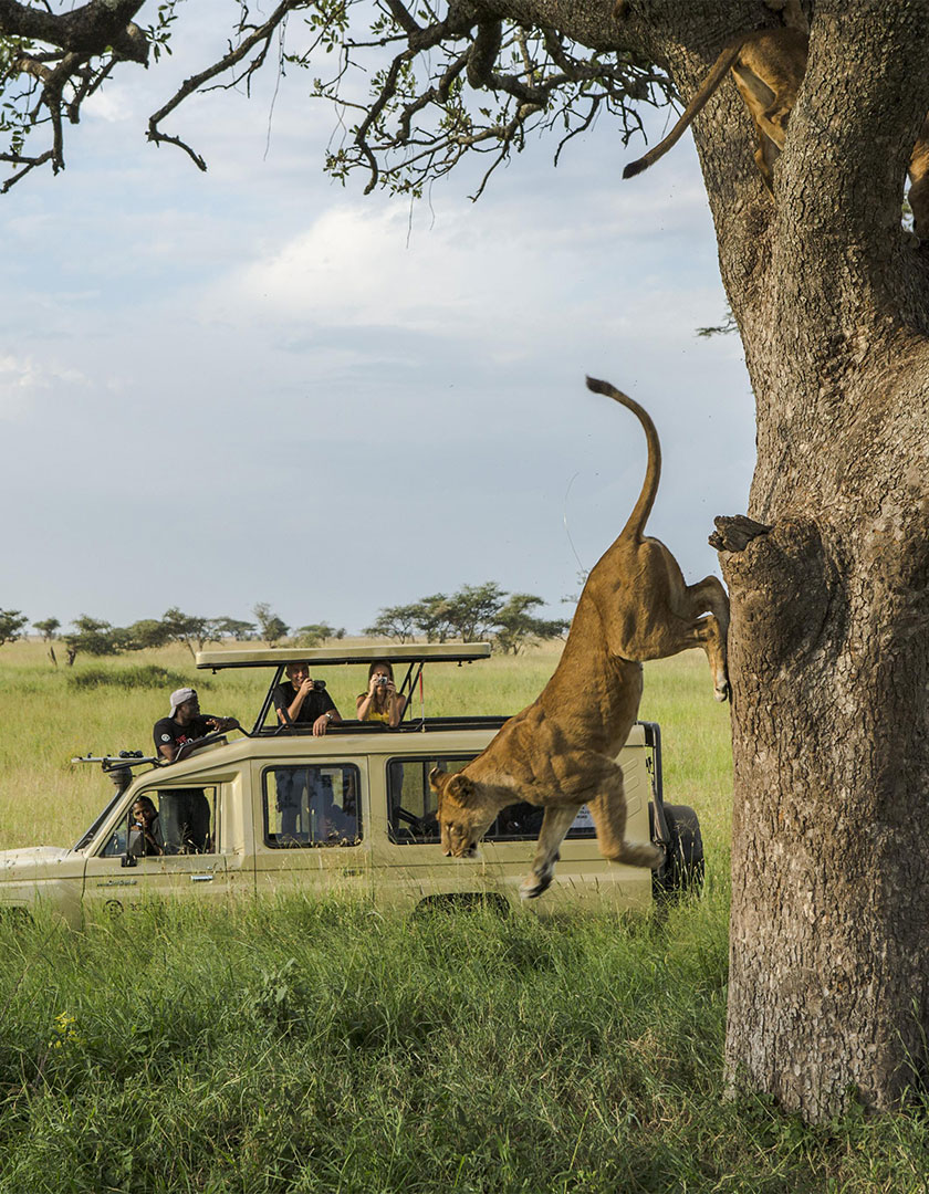 National Geographic Journeys