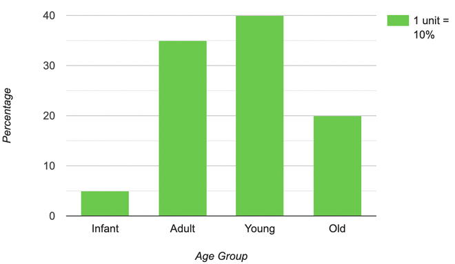 Bar graph example showing data organization with bars representing frequency of categories infant, adult, young, old