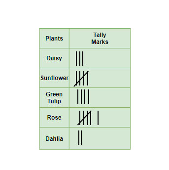 tally representation