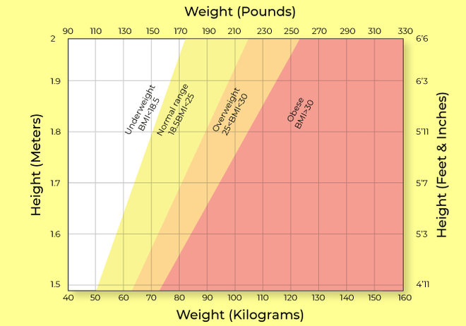 Best BMI Calculator: Calculate Your Body Mass Index Online