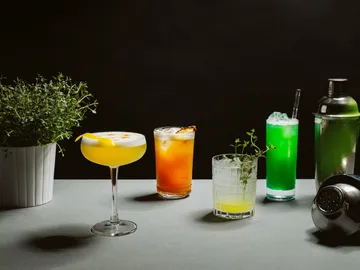 Cocktails und Kräuterpflanze auf einem Tisch vor schwarzem Hintergrund.