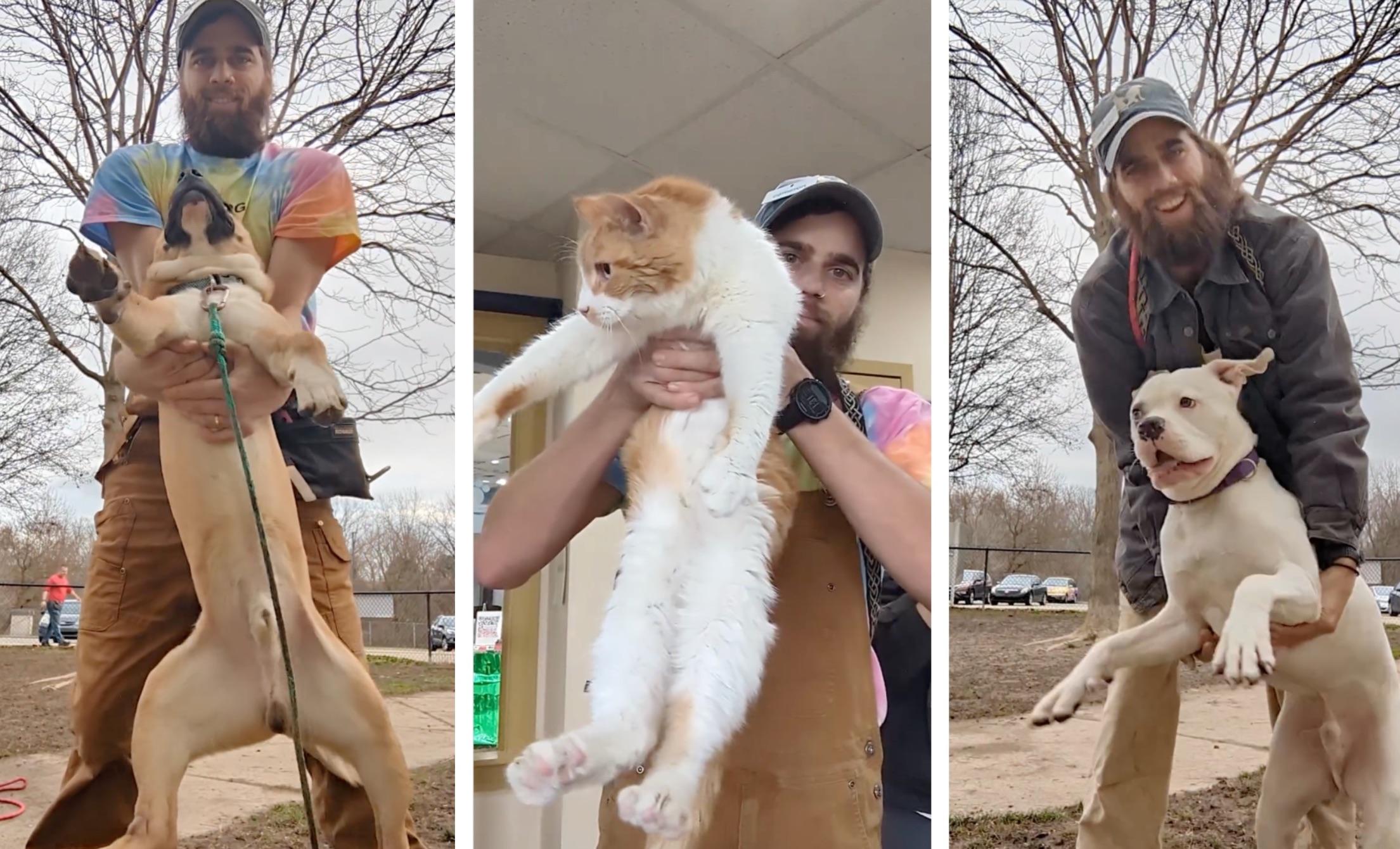 Cameron Shoppach dangles two dogs and a cat in these still images from videos in which he performs the "dangle test" to determine each animal's temperament.