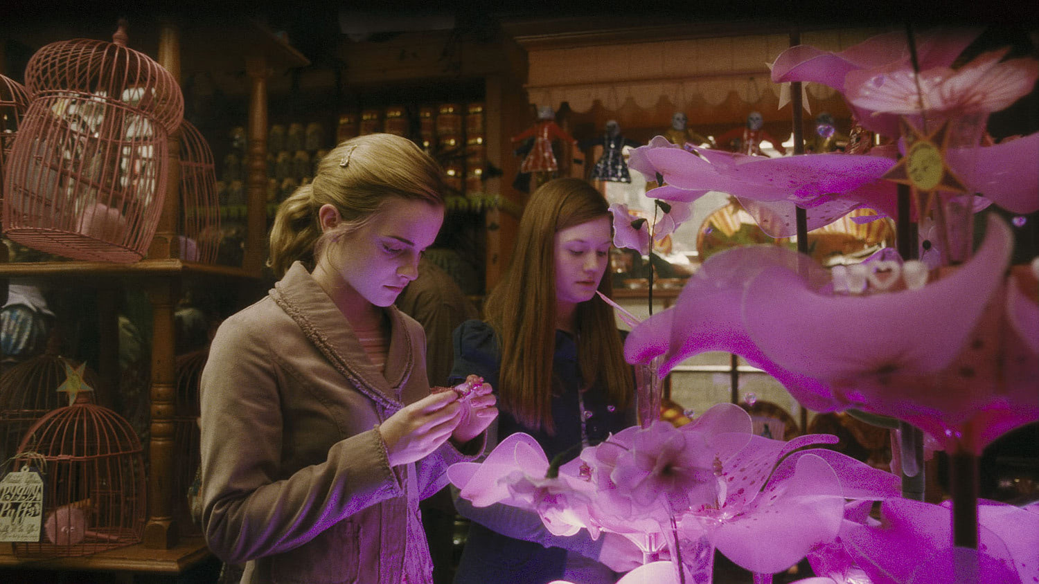 Hermione and Ginny at Weasley’s Wizard Wheezes