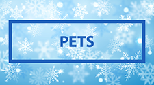 Pet Winter Accessories