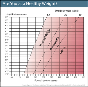 How the Obesity Paradox Works | HowStuffWorks