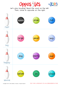 Opposites Worksheet