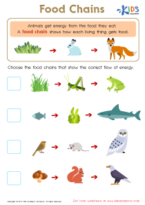 Food Webs and Food Chains Worksheet