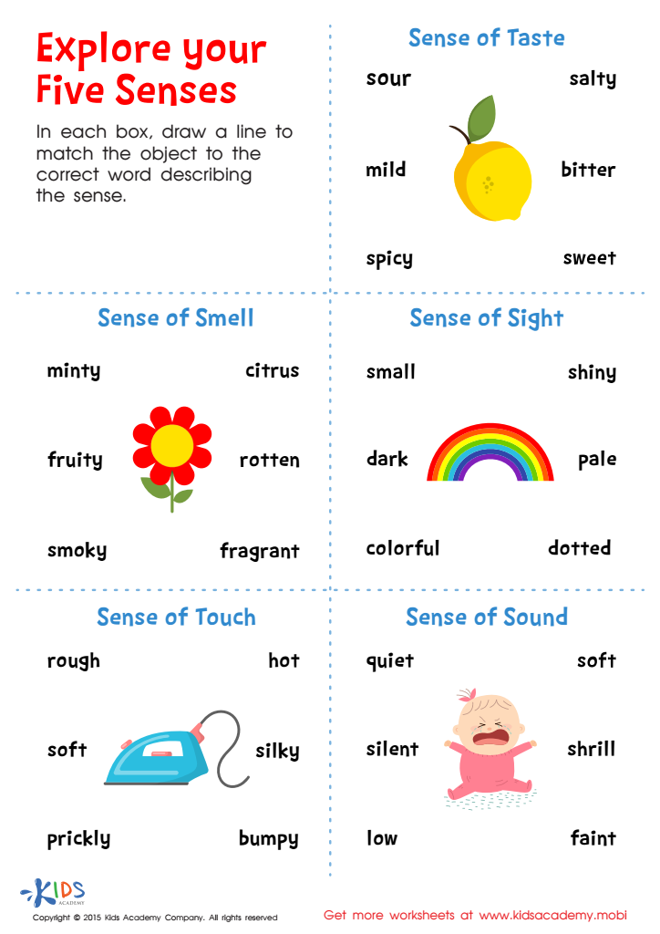 5 Senses Matching