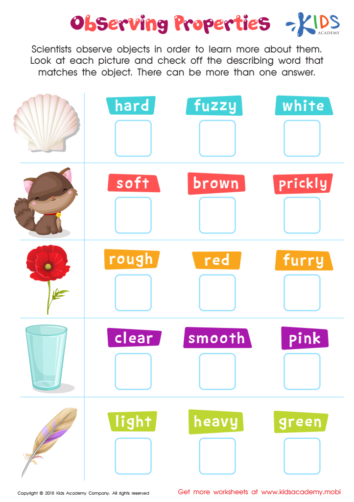 Observing Properties Worksheet