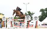 Jérôme Coulombier a remporté le Grand Prix Pro Elite 1,50m, ce dimanche, à Montfort-sur-Meu. (Photo Apolline Leroy)