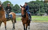 Clémentine et Lola, deux jeunes femmes récemment embauchées chez l’entraîneur Stéphane Gouyette. La première sera jockey le 1er juillet prochain. (Le Télégramme/Marie-Hélène Clam)