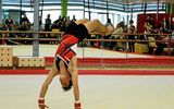 Les championnats de Bretagne de gymnastique artistique ont été annulés par le comité de Bretagne. (Photo d’illustration Delphine Legardinier)