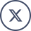 x icon