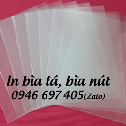 In bìa lá nhựa giá rẻ