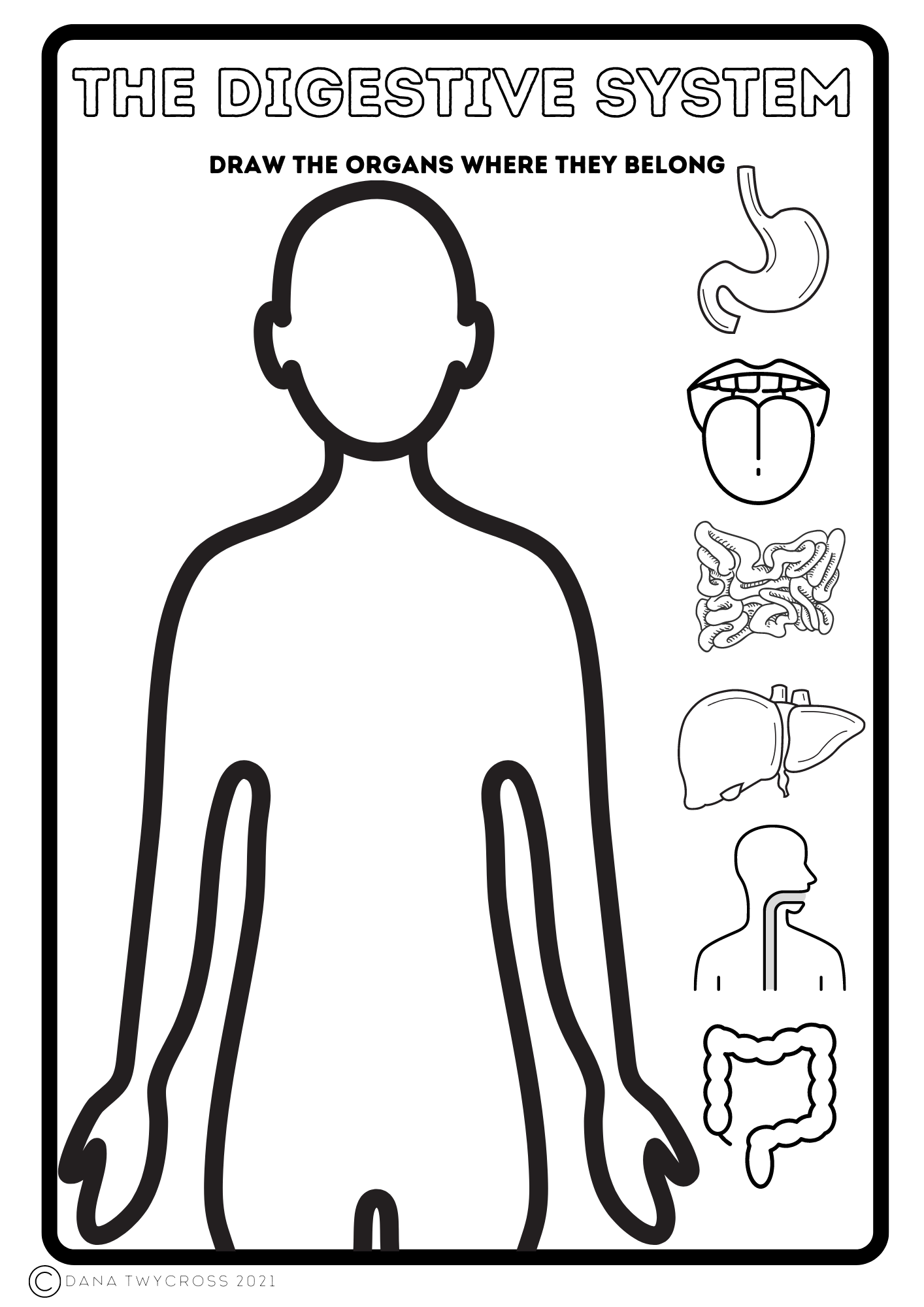 Small Science: Digestion | Made By Teachers