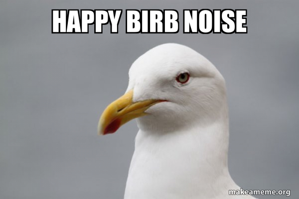 Happy birb noise - Stuff That Didn't Happen Seagull | Make a Meme