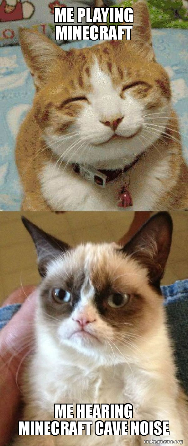 Me playing minecraft Me hearing minecraft cave noise - Grumpy Cat vs Happy  Cat | Make a Meme