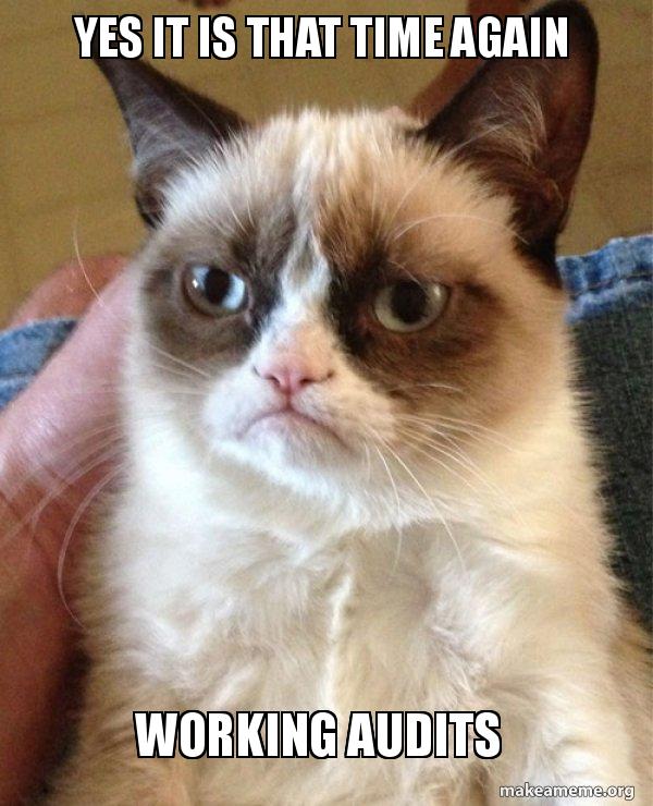 Yes It Is That Time Again Working Audits Grumpy Cat Make A Meme