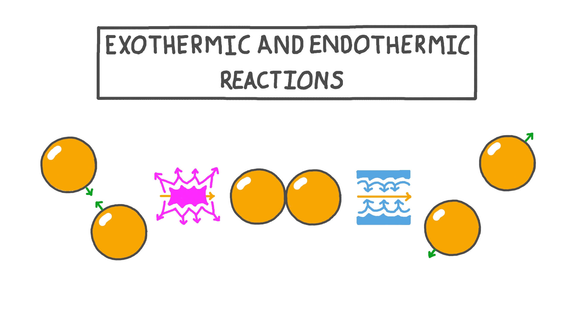 Endothermic And Exothermic Reactions