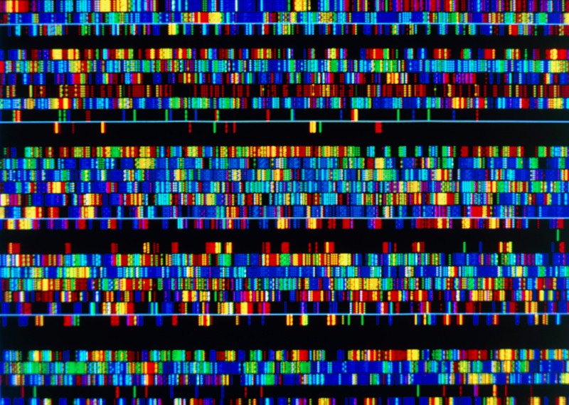 A complete human genome sequence is close: how scientists filled in the ...