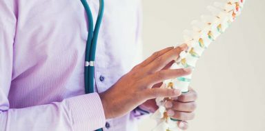 A doctor holding a figurine of a spine.