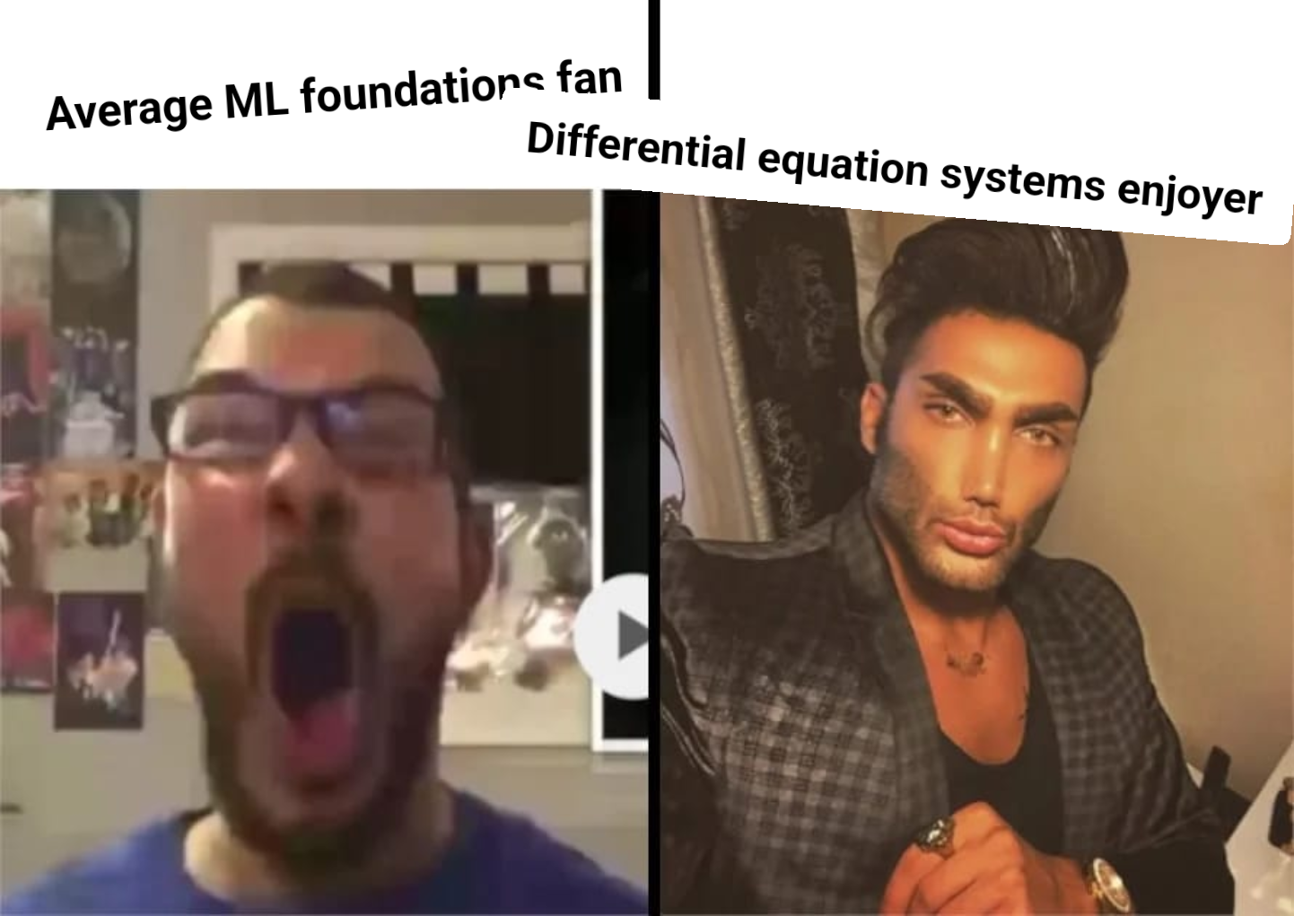 Average Fan Vs. Average Enjoyer meme | image tagged in memes | made with Piñata Farms meme generator