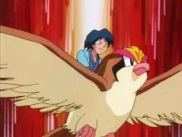 Falkner Pidgeot.png